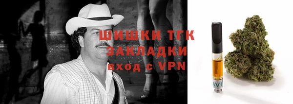 гашик Медвежьегорск